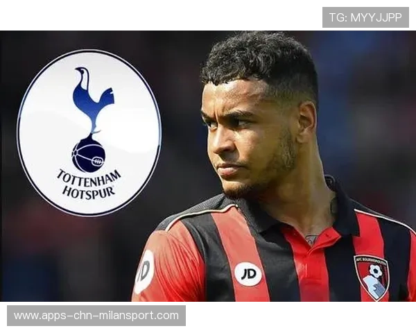 热刺青训新篇章:迈向国际水平的巅峰之路 热刺青训新篇章:迈向国际水平的巅峰之路