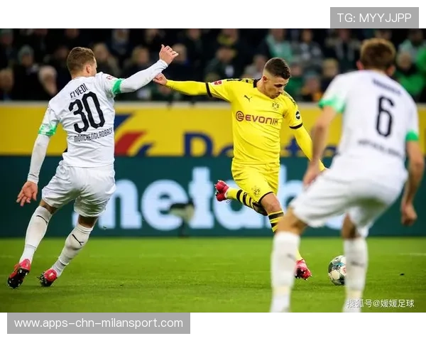 多特连续传递逼出巨大空间：从战术洞察到品牌传播的新范式