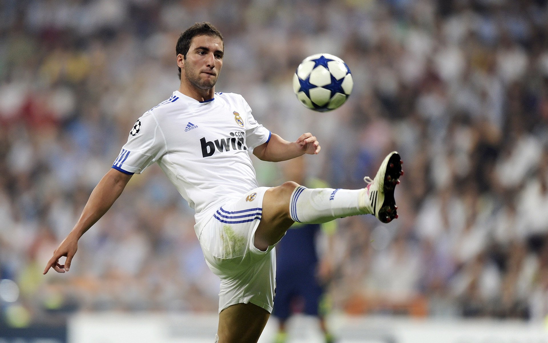 国家队长期缺乏技术分析团队支持，国家队队长有什么用